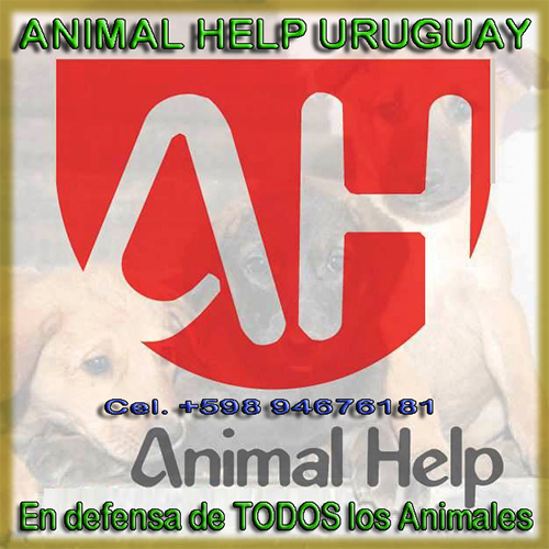 Red Lapa Miembros Fundadores Animal Help - Animal Help Uruguay
