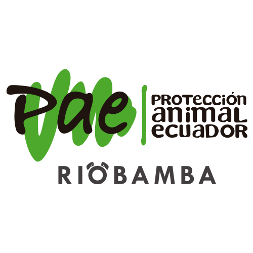 Red Lapa Miembros Fundadores PAE Riobamba - Silvia Ivette Ramos