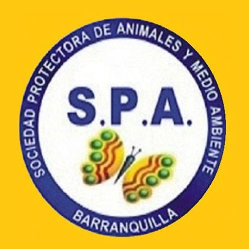 SPA Barranquilla - Red Lapa